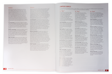 Load image into Gallery viewer, The Spy Game - GM's Bundle